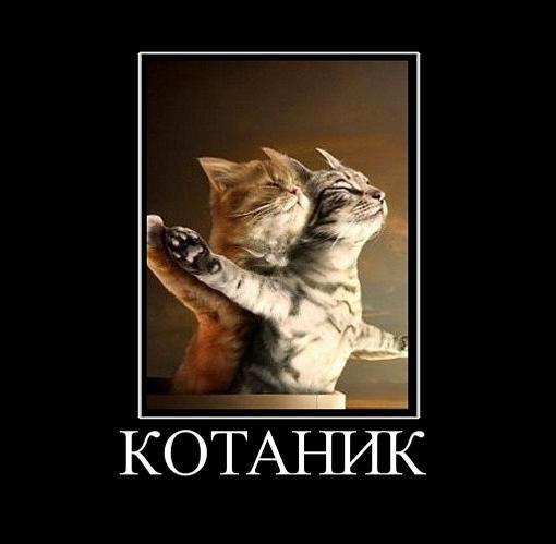 
			Демотиваторы №3714 (20 фото)