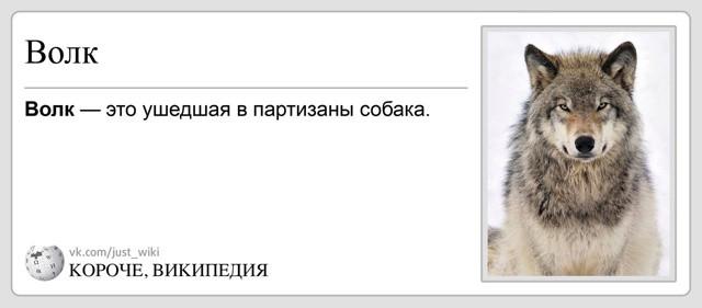 Короче, Википедия
