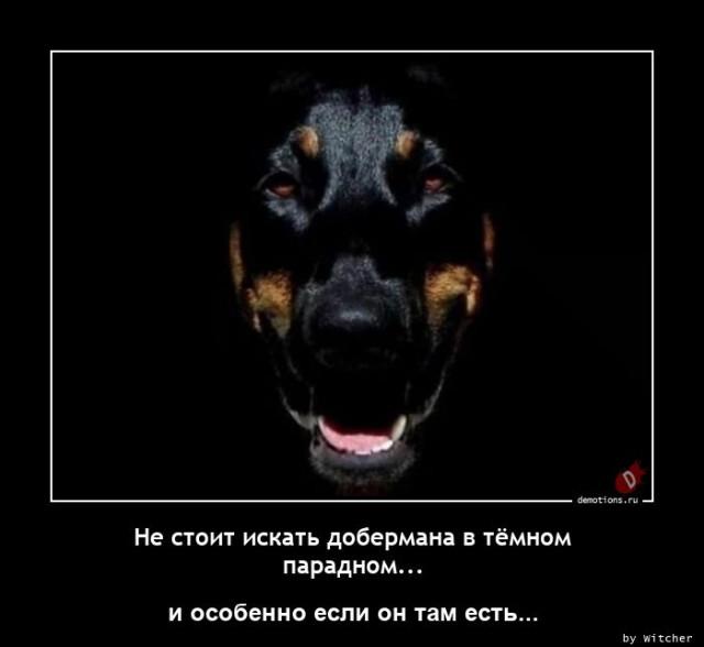 
			Демотиваторы №3699 (20 фото)