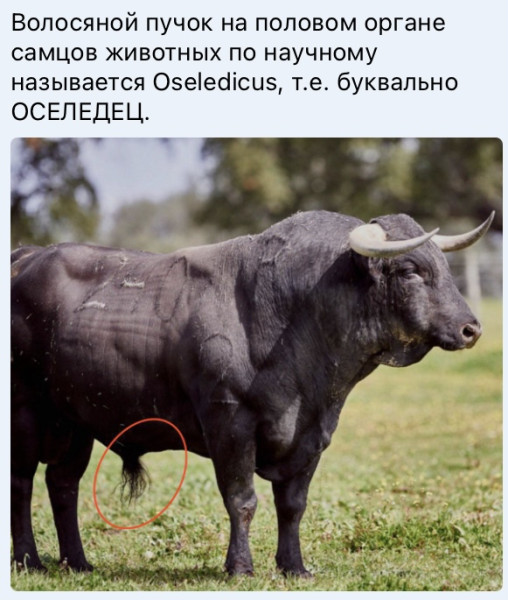 Мем №1537503
