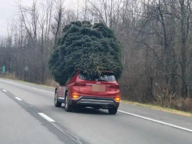 Дорожный сюр