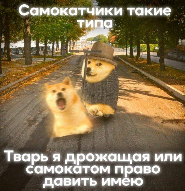 Подборка прикольных фото №3764