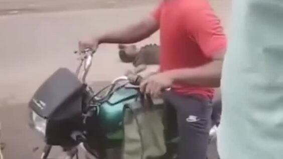 
        В&nbsp;Индии бродяга попытался повторить трюк Джеки Чана и&nbsp;прыгнул с&nbsp;моста в&nbsp;грузовик    