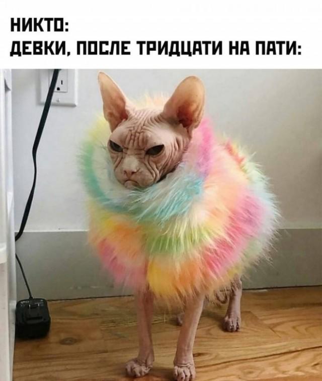 Подборка прикольных фото №3758