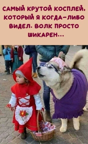 Мем №1540258