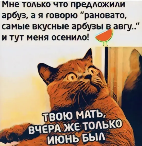 Мем №1539388