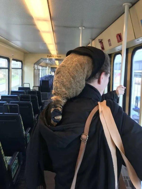 Стрижка «под катастрофу»