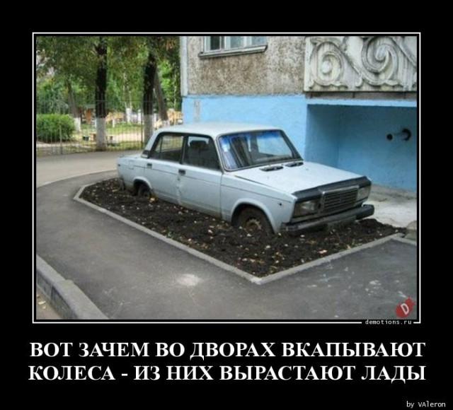
			Демотиваторы №3709 (15 фото)