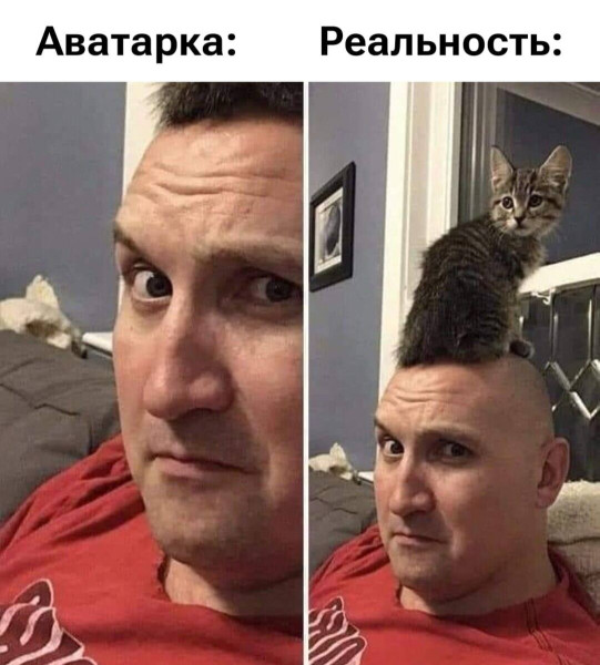 Мем №1543634