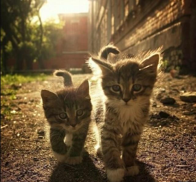 Подборка прикольных фото №3777