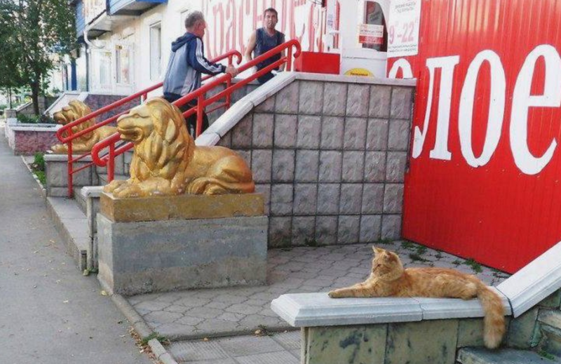 
        20&nbsp;кадров повседневной магии, которые хочется рассматривать снова и&nbsp;снова    