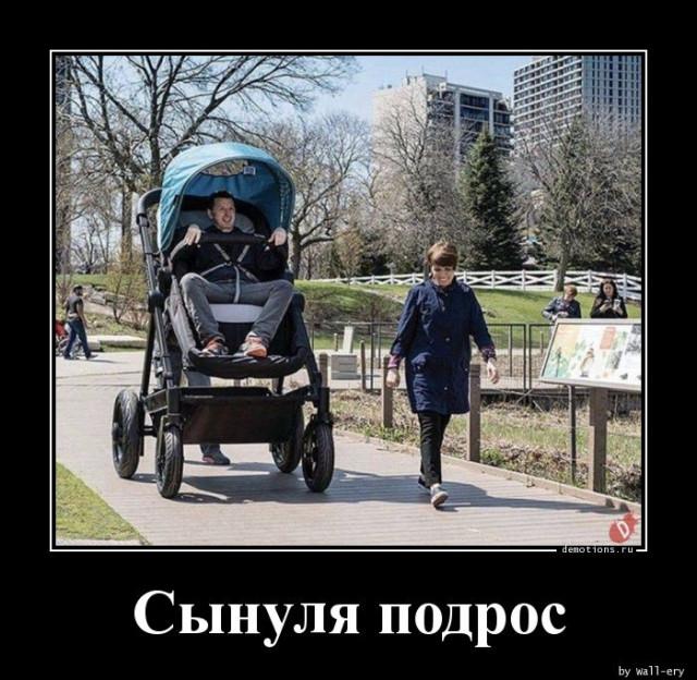 
			Демотиваторы №3734 (15 фото)