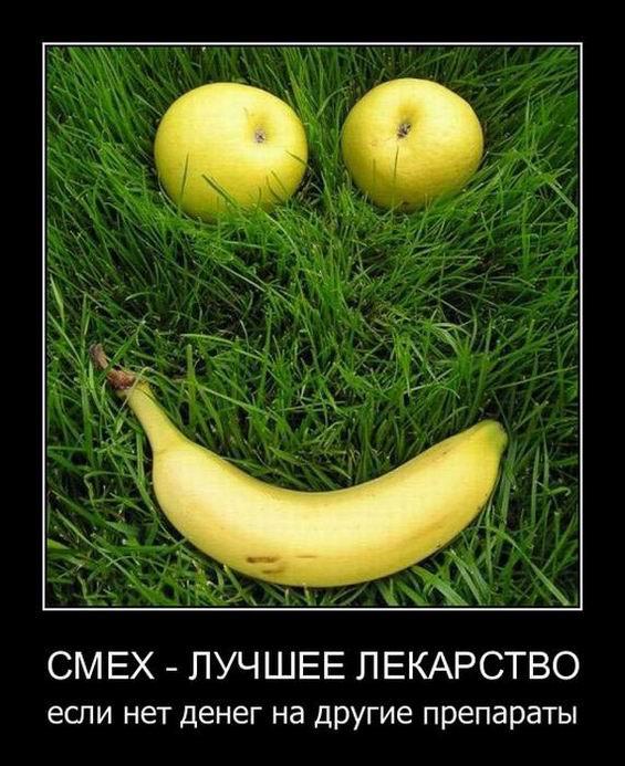 
			Демотиваторы №3723 (15 фото)