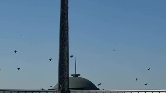 
        Девушка прошла 100&nbsp;километров в&nbsp;последний день лета    