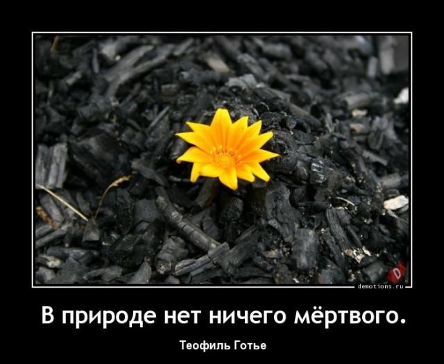
			Демотиваторы №3731 (20 фото)