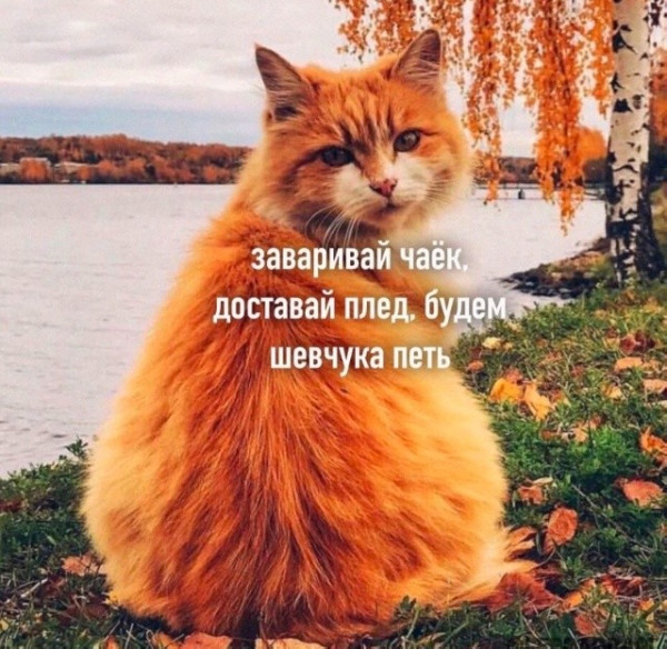 Мем №1548873