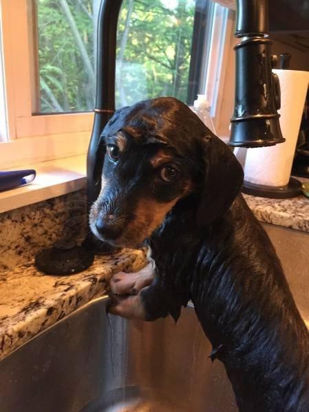 Подборка прикольных фото №3783