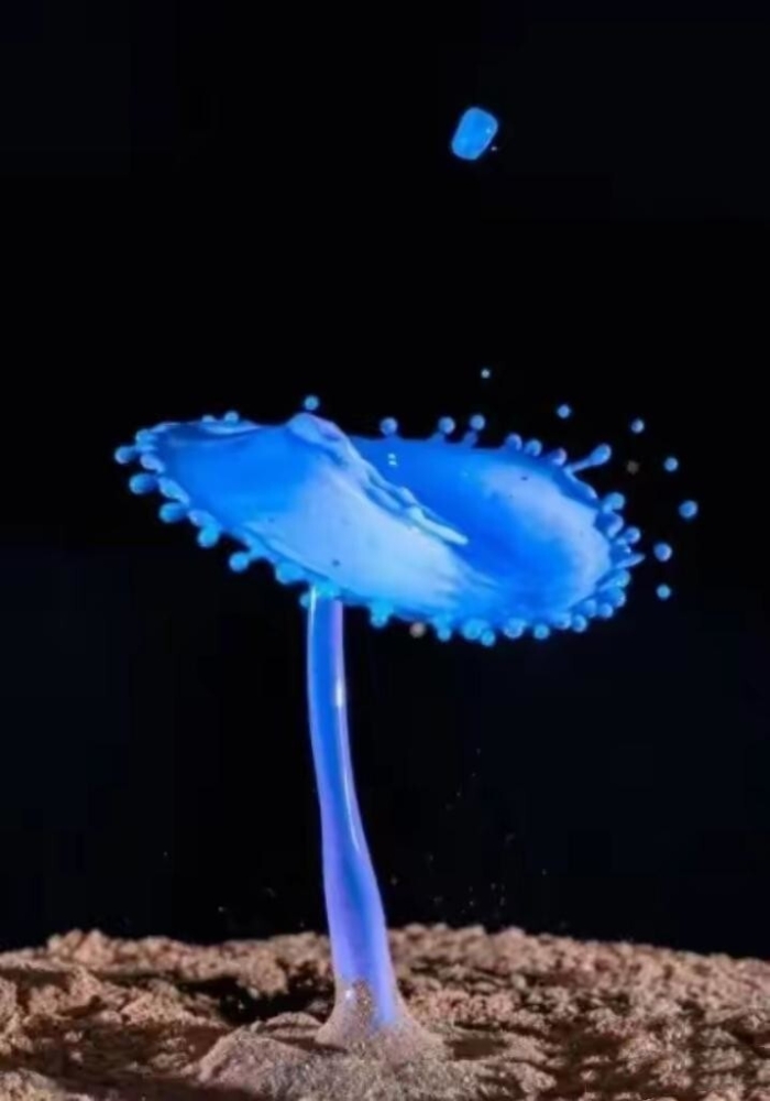 
        25 необычных фотографий обычных предметов, животных и процессов    