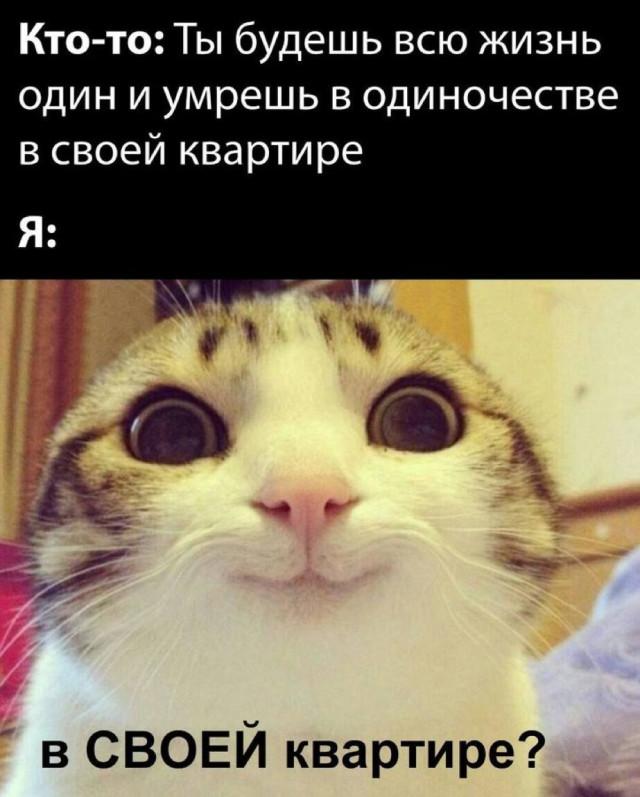 Подборка прикольных фото №3785