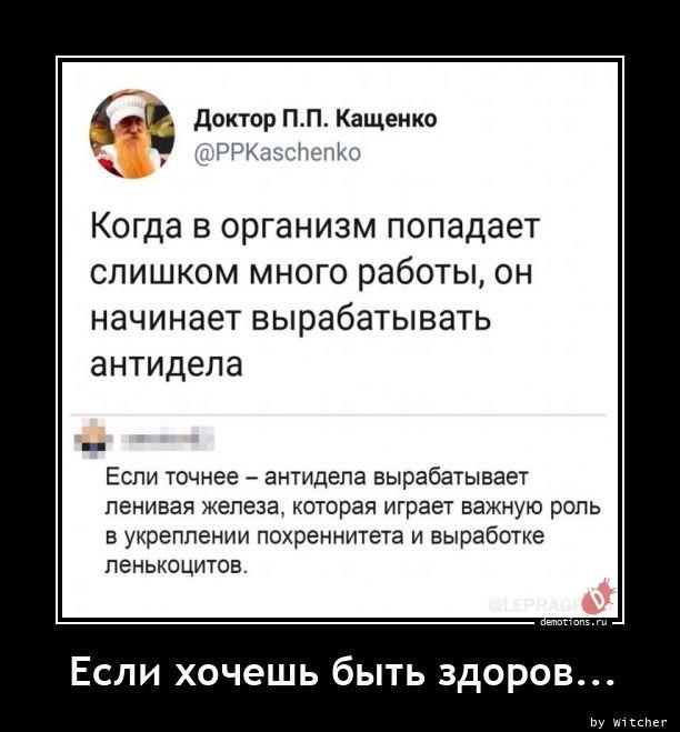 
			Демотиваторы №3738 (18 фото)