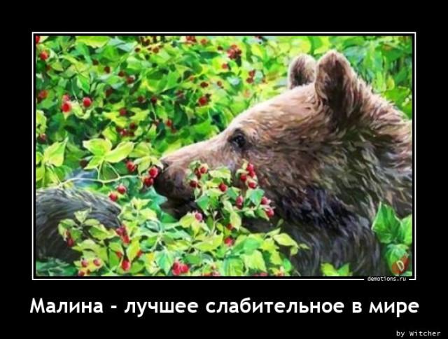 
			Демотиваторы №3719 (20 фото)