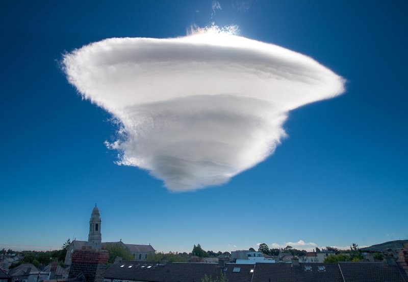 
        25 необычных фотографий обычных предметов, животных и процессов    