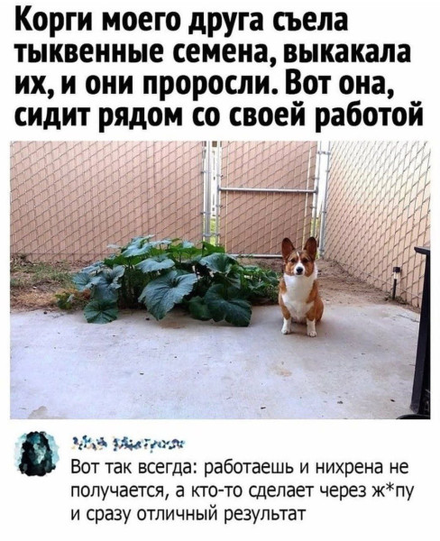 Мем №1549508