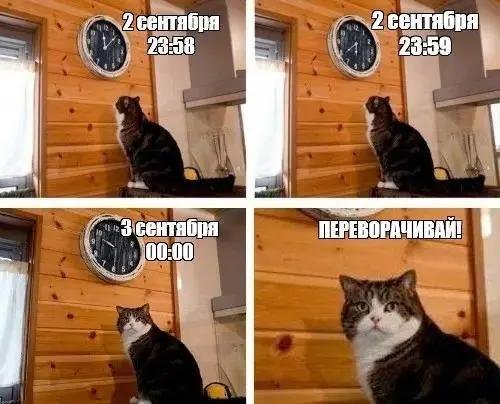 Самая полная подборка мемов про 3 сентября: мы собрали ее в честь Михаила Шуфутинфского (26 фото)