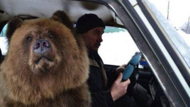 Подборка прикольных фото №3793