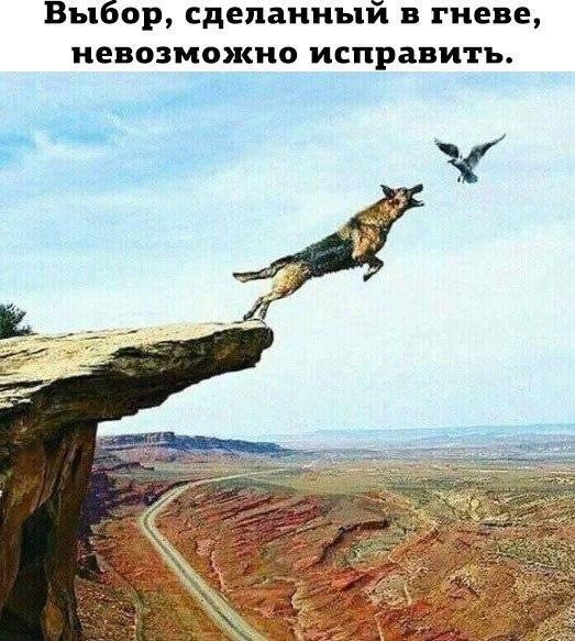 Мем №1547591