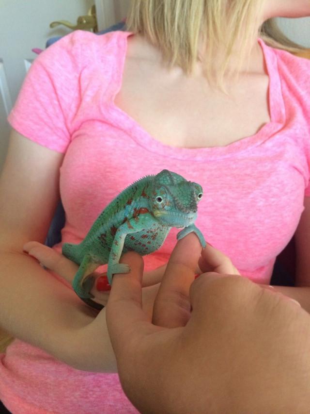 Подборка прикольных фото №3780