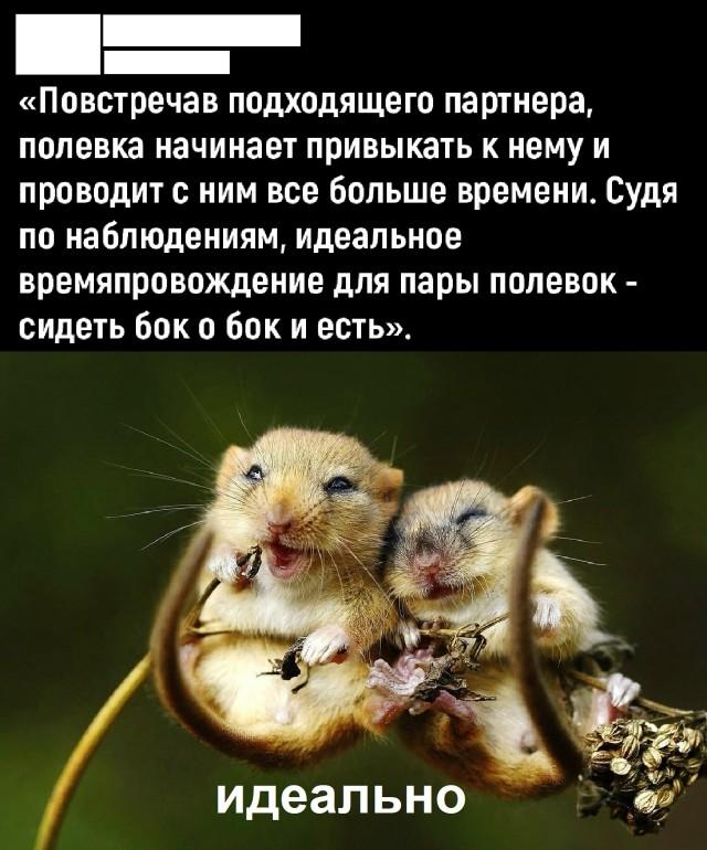 Подборка прикольных фото №3780
