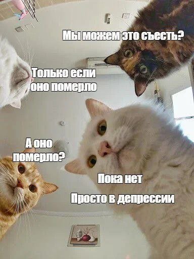 Смешные мемы - 24.09.2025 (15 фото) Смешные мемы - 24.09.2025 (15 фото)