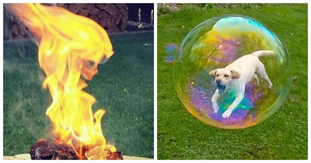 
        20&nbsp;кадров повседневной магии, которые хочется рассматривать снова и&nbsp;снова    