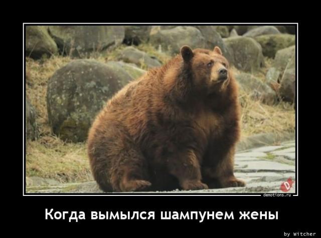 
			Демотиваторы №3737 (15 фото)