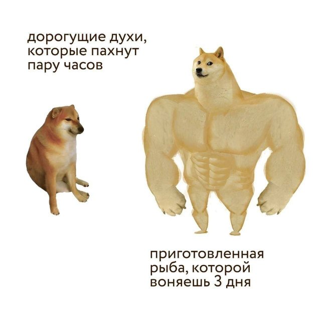 Смешные мемы - 24.09.2025 (15 фото) Смешные мемы - 24.09.2025 (15 фото)