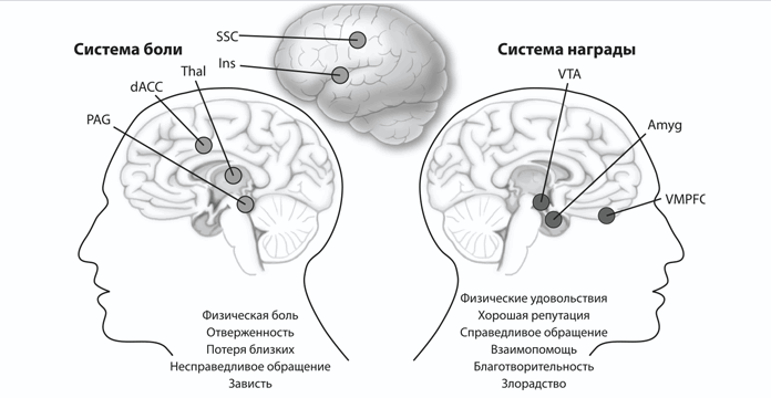 
        10 фактов, которые заставят вас сказать «Вау!»    