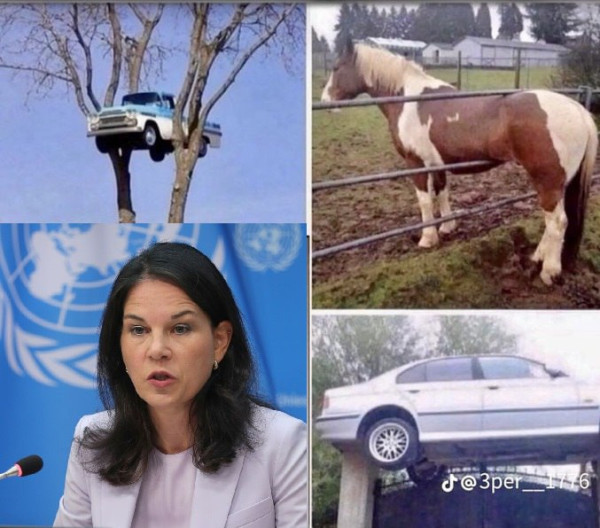 Мем №1548478