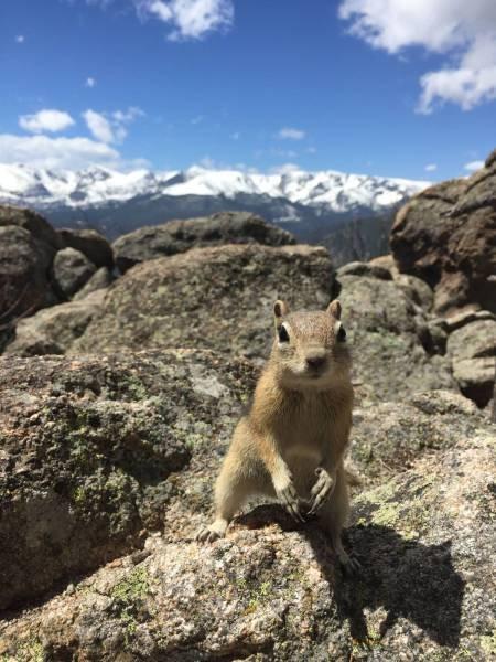 Подборка прикольных фото №3783