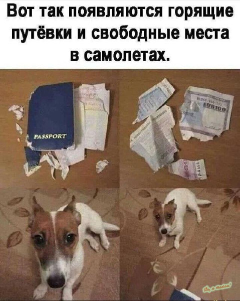 Мем №1544418