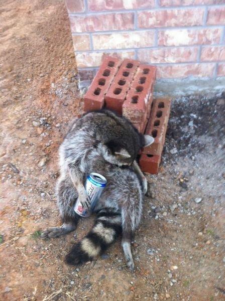 Подборка прикольных фото №3788