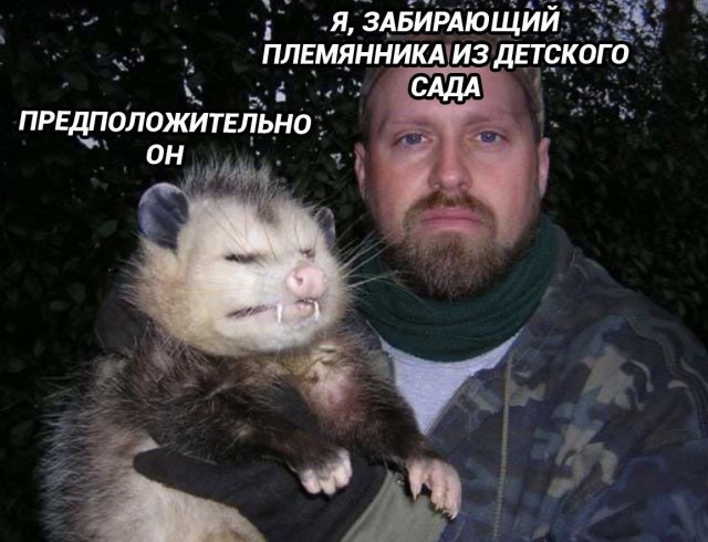 Смешные мемы - 24.09.2025 (15 фото) Смешные мемы - 24.09.2025 (15 фото)