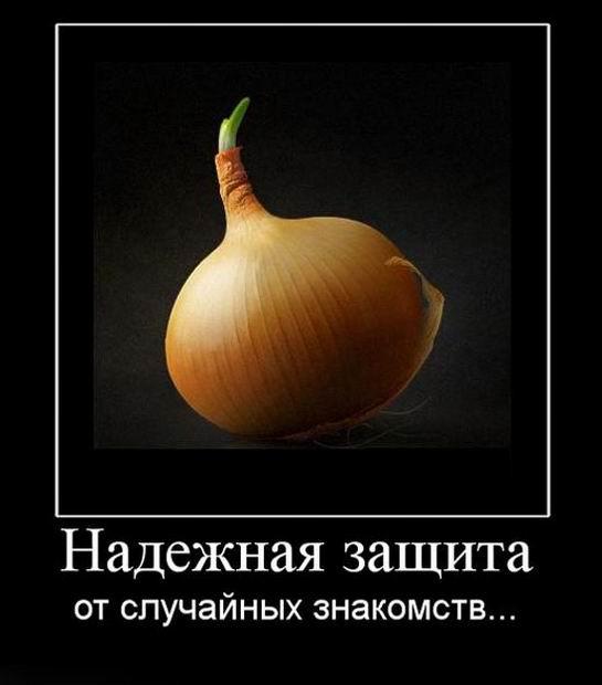 
			Демотиваторы №3736 (15 фото)