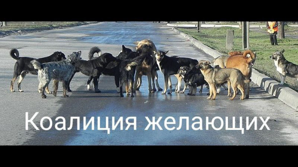 Мем №1545067