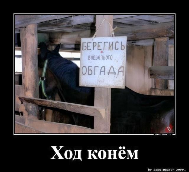 
			Демотиваторы №3735 (15 фото)