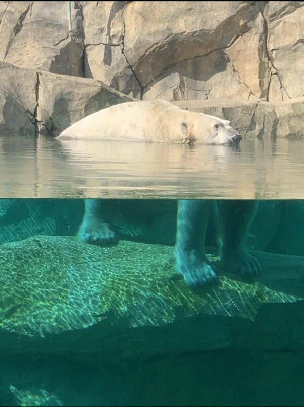 Подборка прикольных фото №3786
