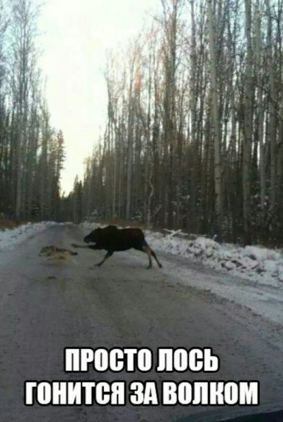 Мем №1544423