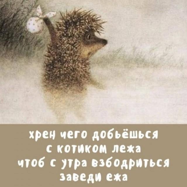 Подборка прикольных фото №3793