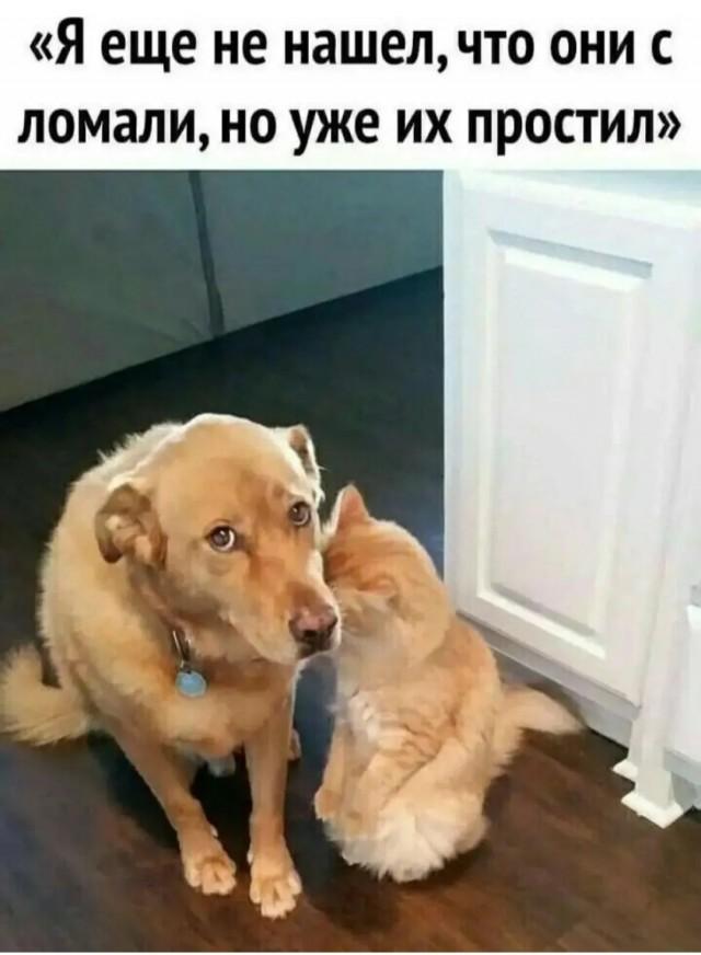 Подборка прикольных фото №3774