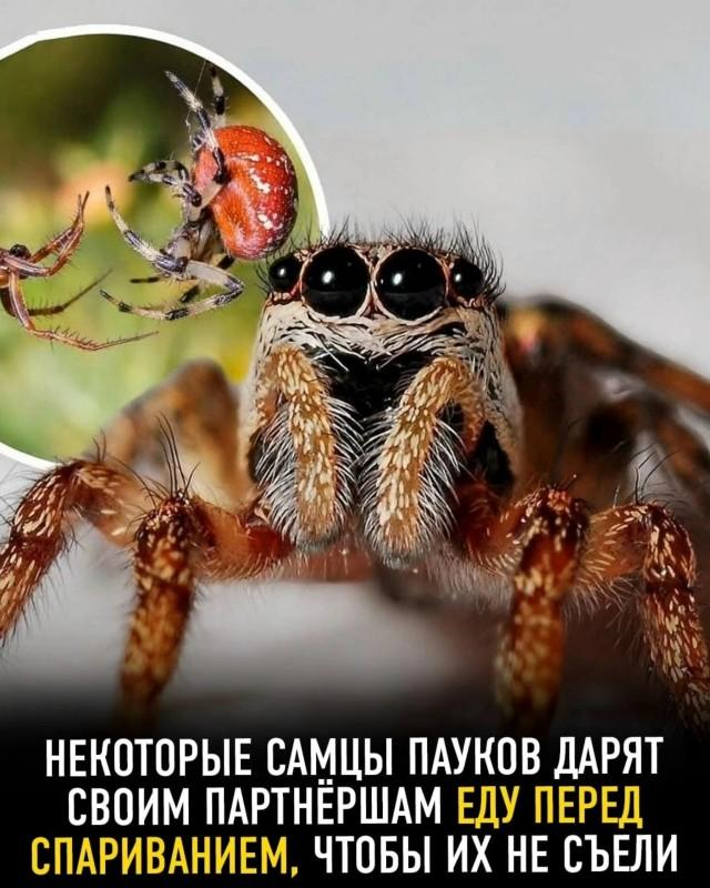 Подборка прикольных фото №3773